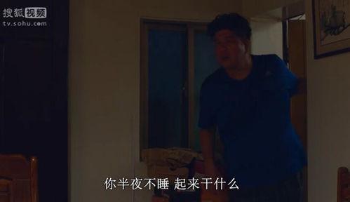 暮年闪婚是真爱,真爱绽放的晚年传奇