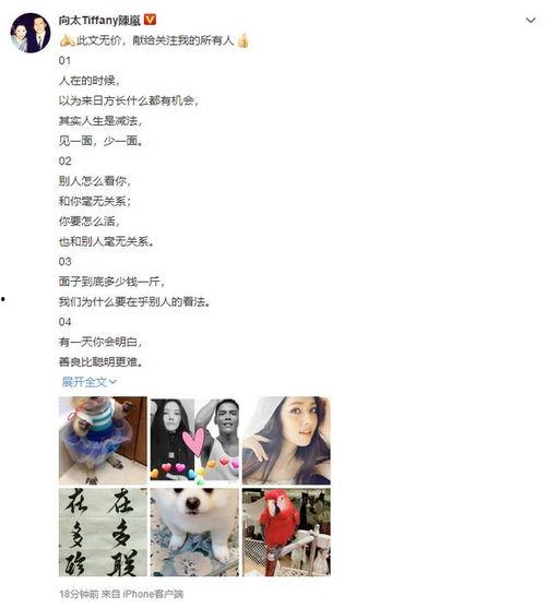 暮年闪婚是真爱,真爱绽放的晚年传奇