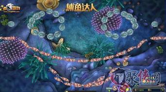 金宝闹蛇年,喜庆祥瑞，蛇舞新春