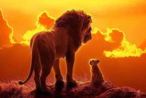 狮子王后玛莉卡,狮子王后之荣耀与智慧