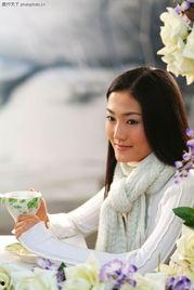 仙乐飘飘,探寻古典音乐的魅力之旅