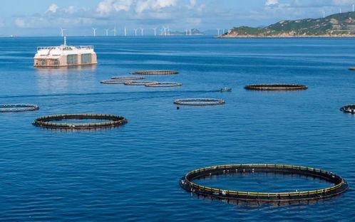 海洋绿洲,揭秘深海中的生命奇迹