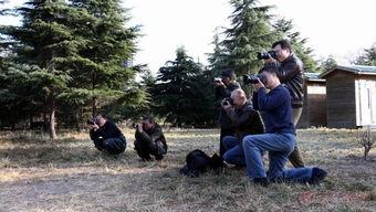 不辞春色,春日美景赏析之旅