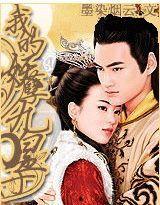 妖孽九皇子,权谋风云中的绝世传奇