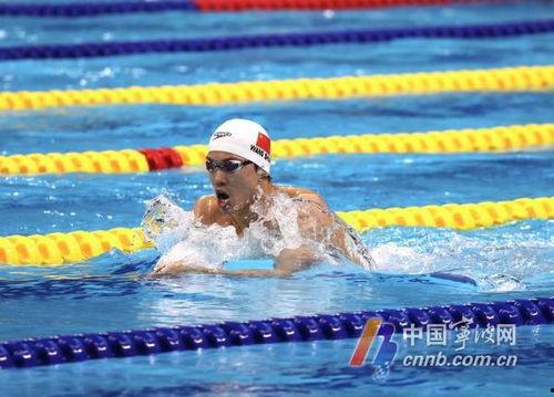 泳队的事,激情赛场，梦想翱翔