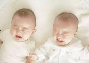 一胎二宝京太掉马99天,一胎二宝的甜蜜逆袭