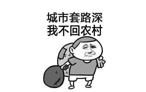 城市套路深保姆回农村,探寻农村生活的别样魅力