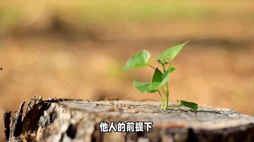 生命里,探寻生命起源与演化奥秘