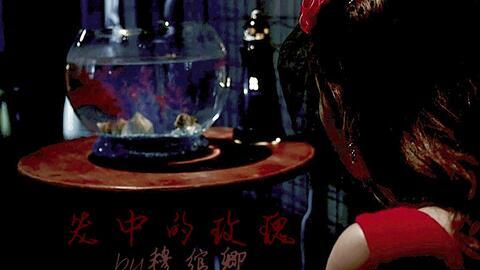 笼中玫瑰之致命依恋,揭秘致命依恋的暗黑魅力